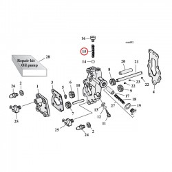 SPRING, OIL PUMP CHECK VALVE