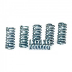 CLUTCH SPRING SET, FOR E.T.C. CLUTCH