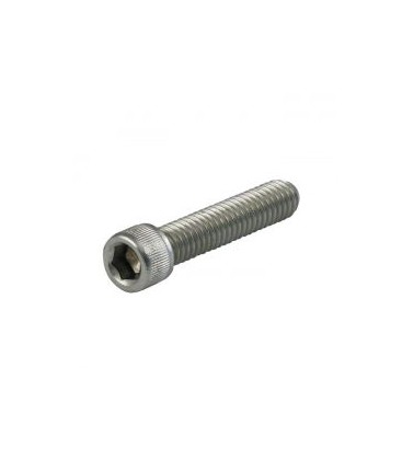 Allenbolt 1/4 x 2 unc ss