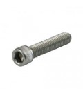 Allenbolt 1/4 x 2 unc ss