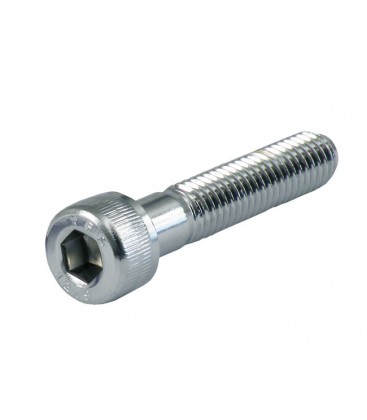 Allenbolt M12 x 80 mm chroom